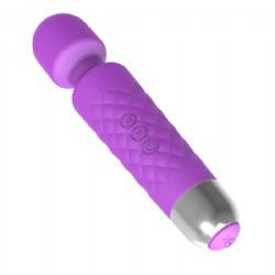 Adult Vibrator/Wand