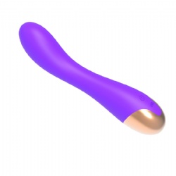 Adult Vibrator/Wand